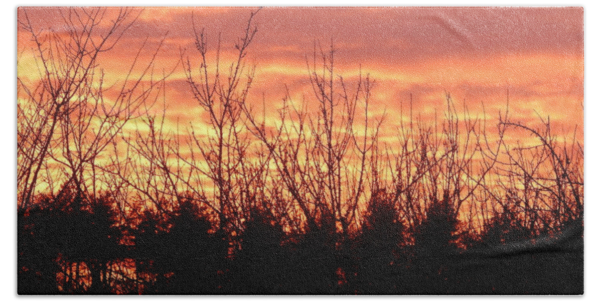 Forest Beach Towel featuring the photograph Fiery sunset on nature forest #1 by Oleg Prokopenko