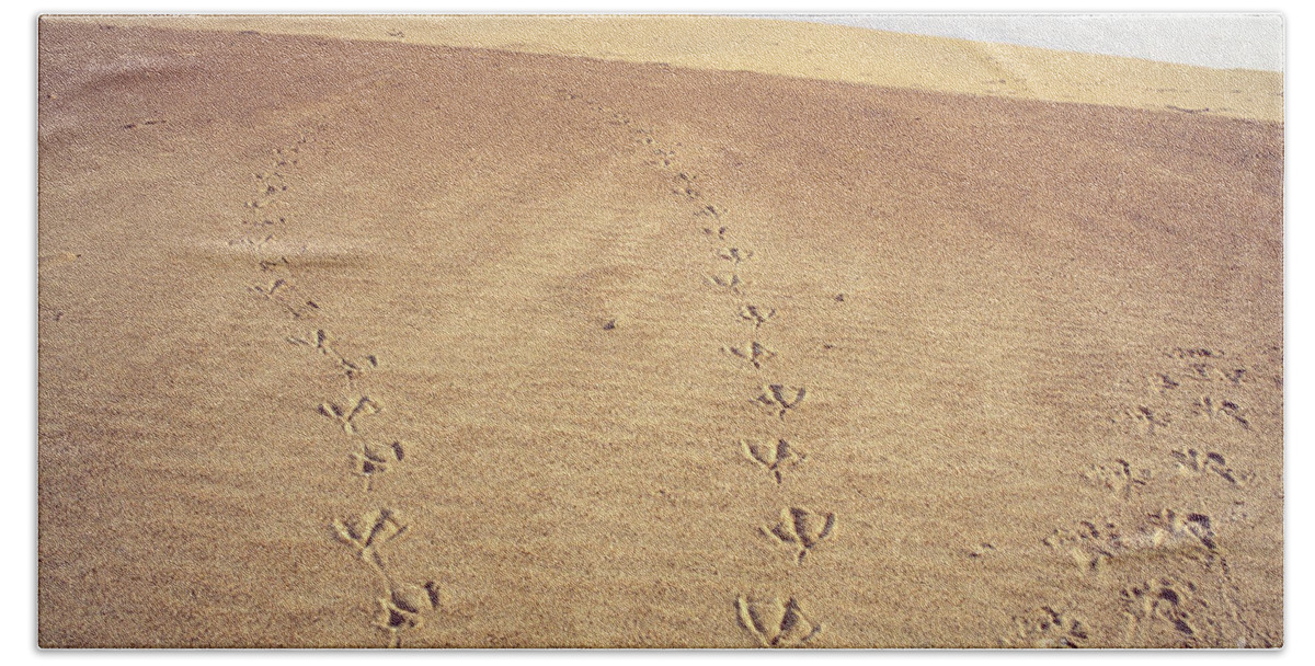 Apure Beach Towel featuring the photograph Footprints #1 by Juan Silva