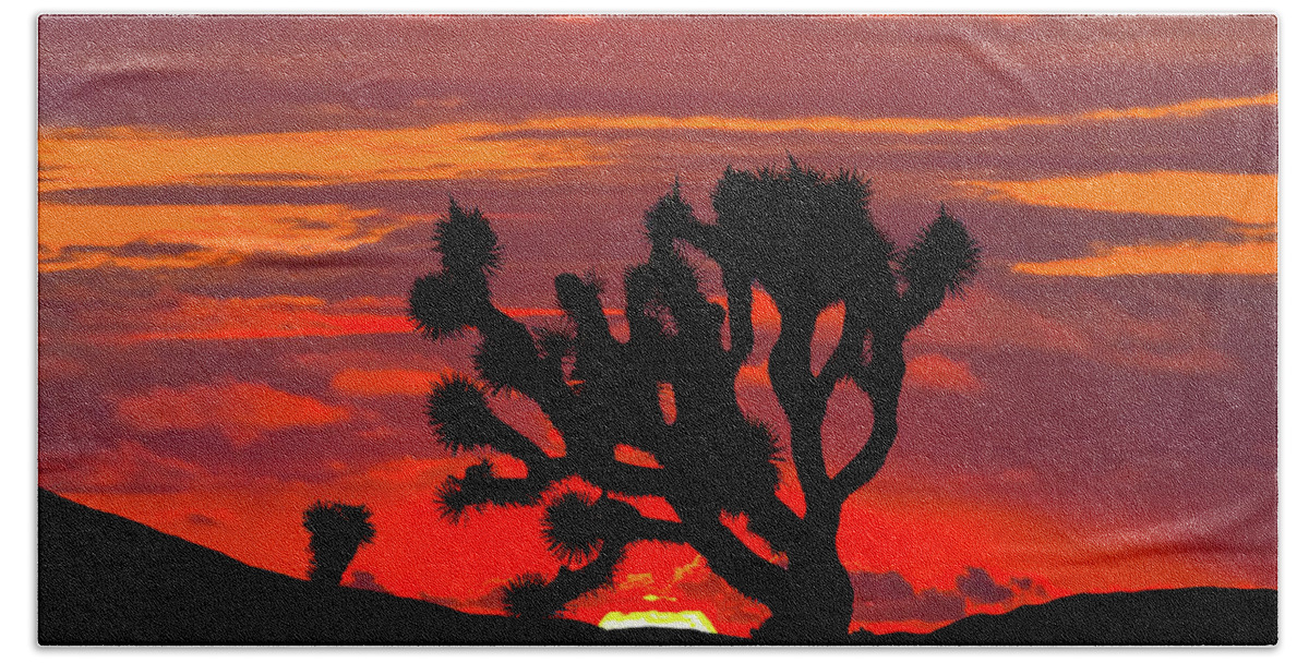 Arid Climate Beach Towel featuring the photograph Joshua Tree at Sunset by Jeff Goulden