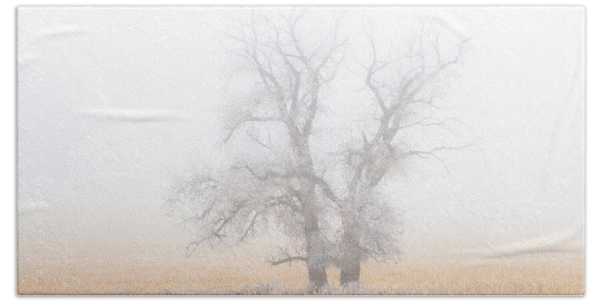 Fog Beach Towel featuring the photograph Last Man Standing #1 by Darren White