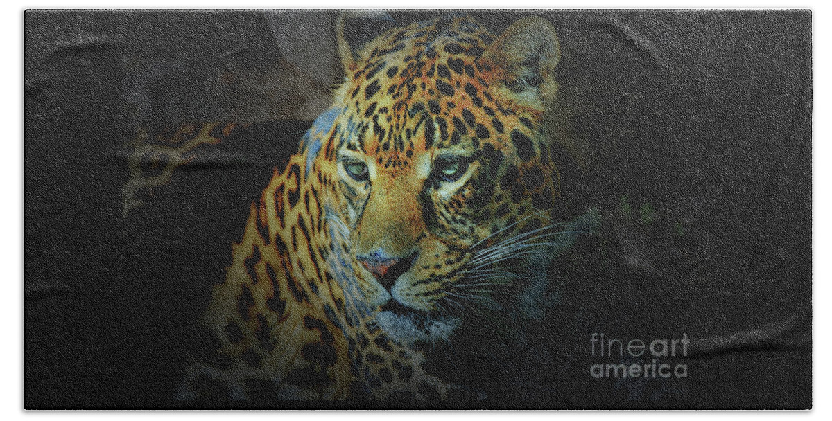 Whiskers Beach Towel featuring the photograph Leopard by Savannah Gibbs