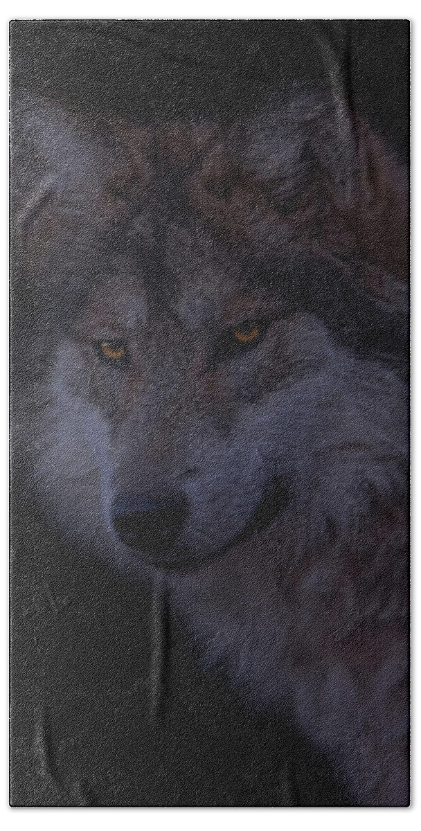 Animal Beach Towel featuring the photograph Mexican Grey Wolf #1 by Brian Cross