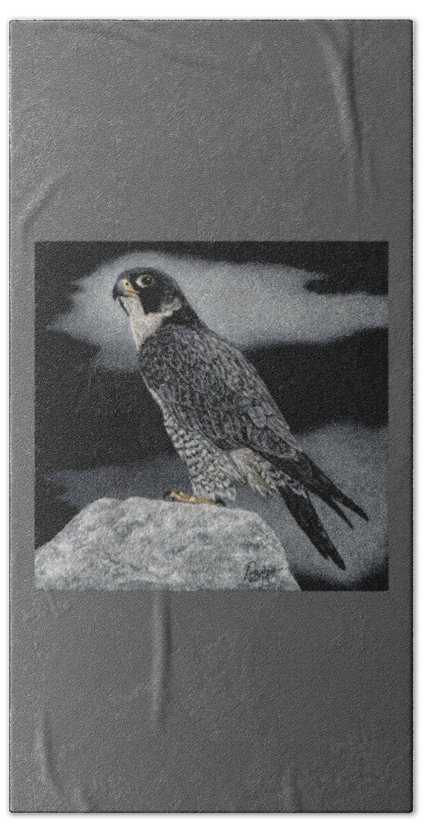 Falcon Beach Towel featuring the drawing Peregrine Falcon #1 by Ann Ranlett