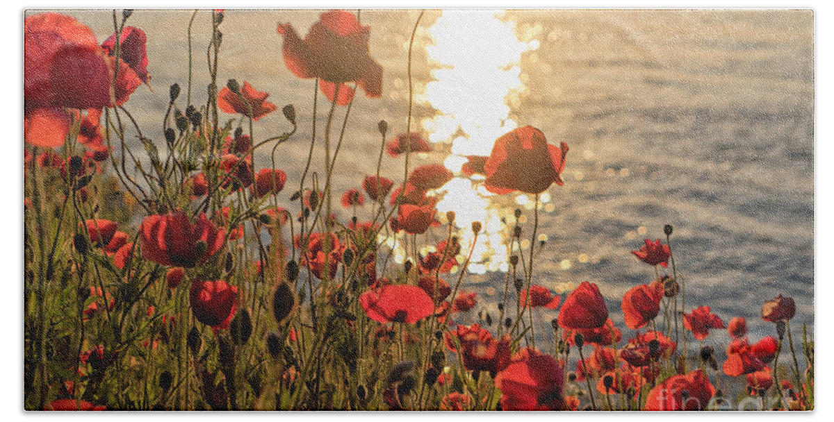 Poppy Beach Towel featuring the photograph Poppy flowers at sunset on river by Patricia Hofmeester