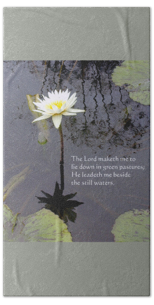 Water Lily Beach Sheet featuring the photograph Still Waters #1 by John Lautermilch
