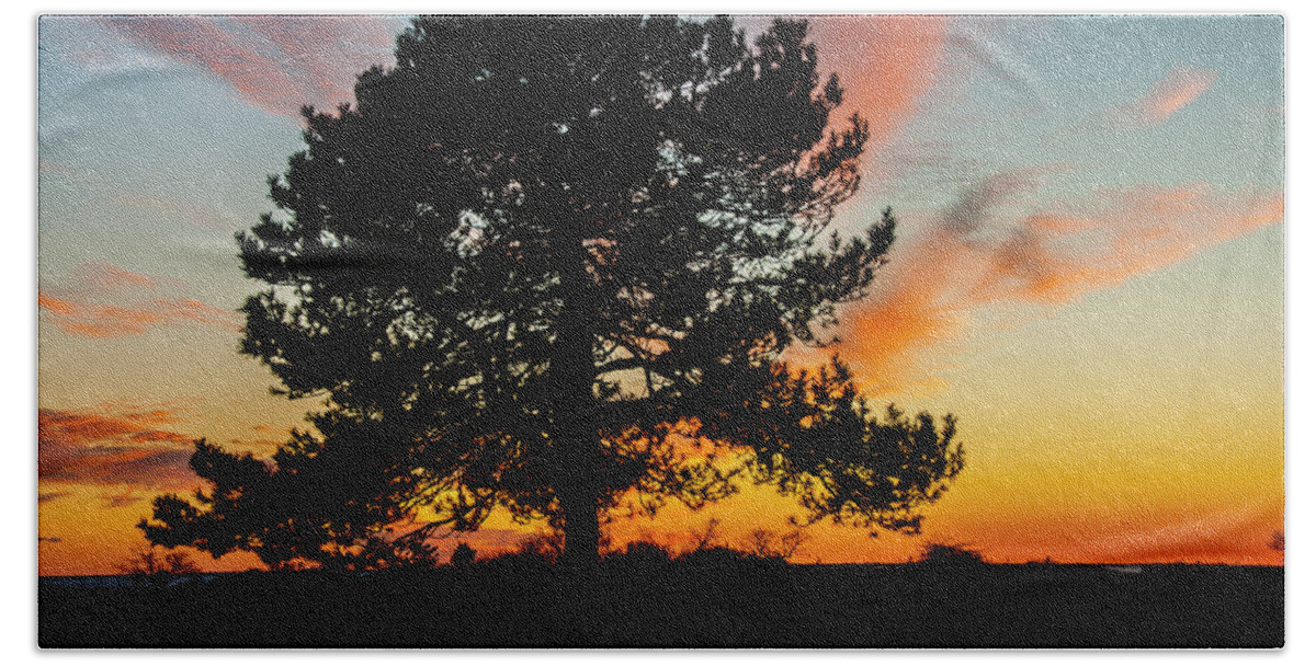 Tree Beach Towel featuring the photograph Sunset Silhouette by Cathy Kovarik