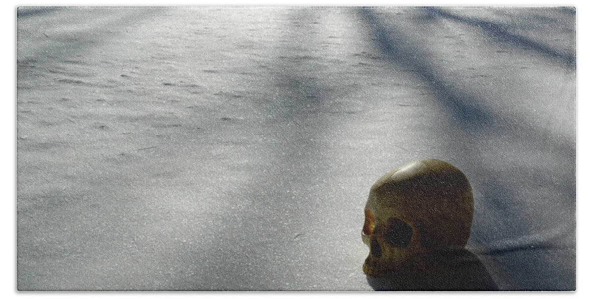  Beach Towel featuring the photograph The Dead of Winter #1 by Rein Nomm