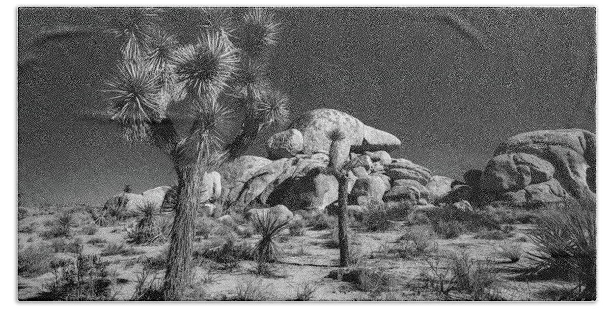 Black & White Beach Towel featuring the photograph The Joshua Tree #2 by Peter Tellone