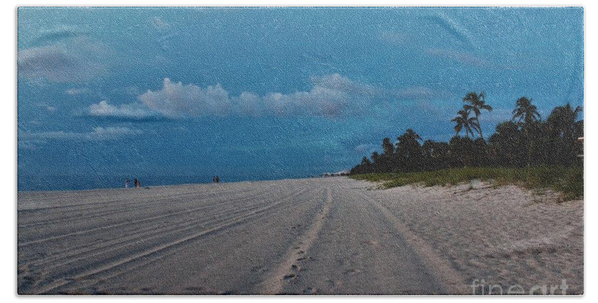 Naples Florida Beach Towel featuring the photograph Naples Beach #15 by Donn Ingemie
