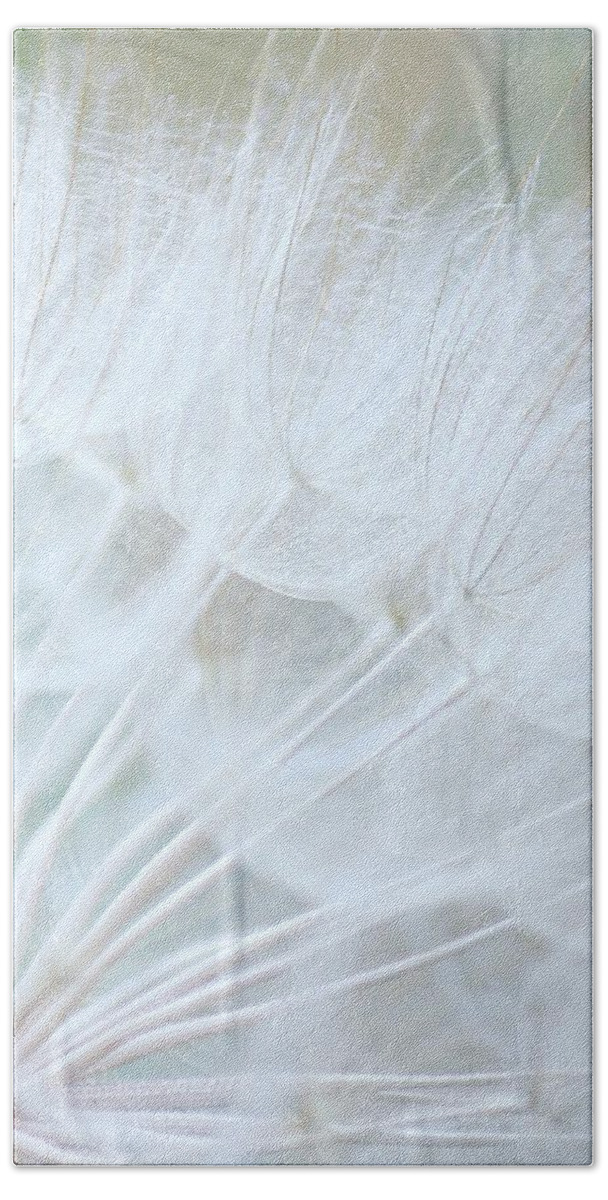 Dandelions Beach Towel featuring the photograph Innocent Wishes #2 by The Art Of Marilyn Ridoutt-Greene