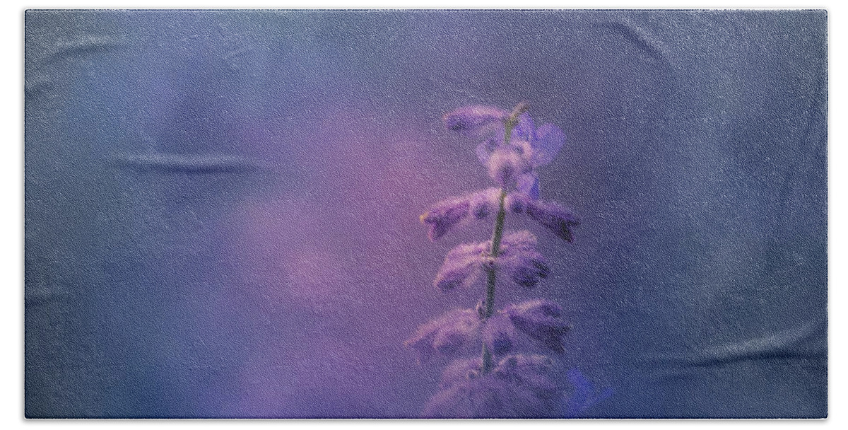 Flower Beach Towel featuring the photograph Morning Light #2 by Allin Sorenson