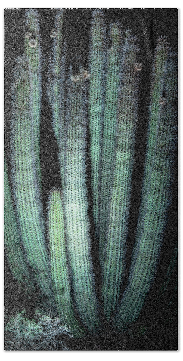 Organ Pipe Cactus Beach Towel featuring the photograph Organ Pipe Cactus #2 by Saija Lehtonen