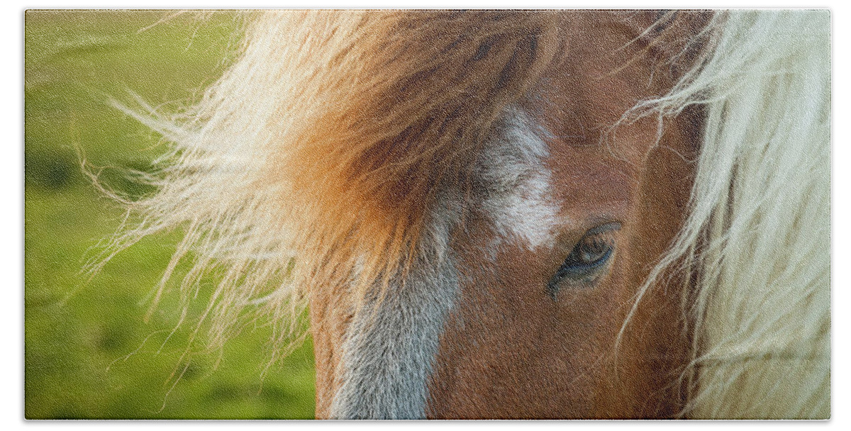 Iceland Beach Towel featuring the photograph Icelandic Horse #3 by Peter OReilly