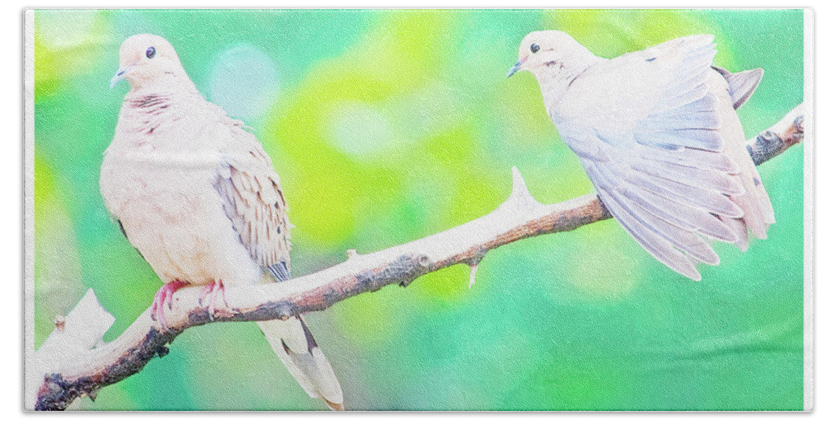 Taxonomy Beach Towel featuring the photograph Mourning Dove Pair #3 by A Macarthur Gurmankin