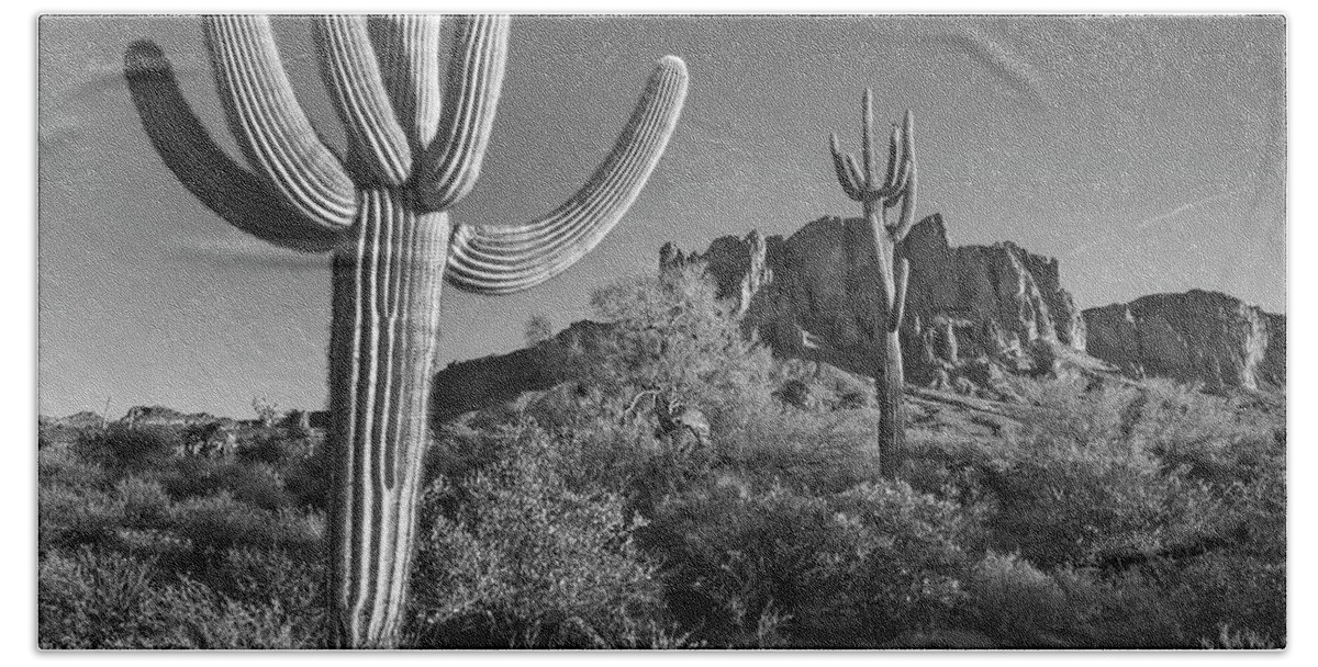 Disk1216 Beach Towel featuring the photograph Saguaro Cacti, Arizona #3 by Tim Fitzharris