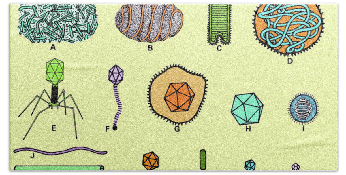 Adenovirus Beach Towel featuring the photograph Virus Particles #3 by Biophoto Associates