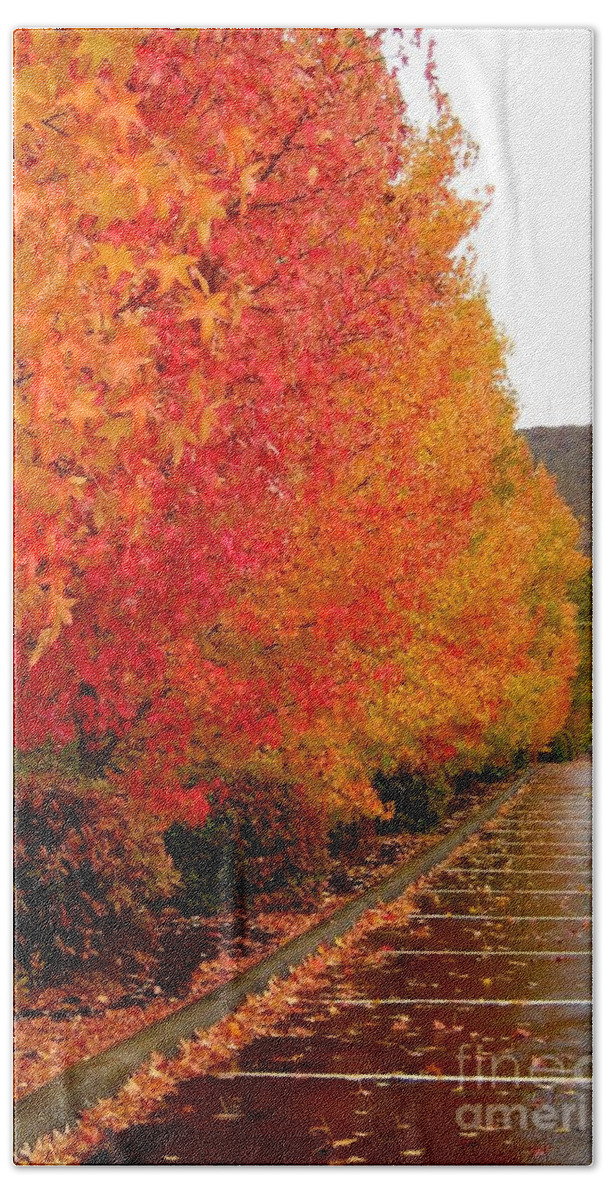 Glory Beach Towel featuring the photograph 7th Day Fall Glory by Marie Neder
