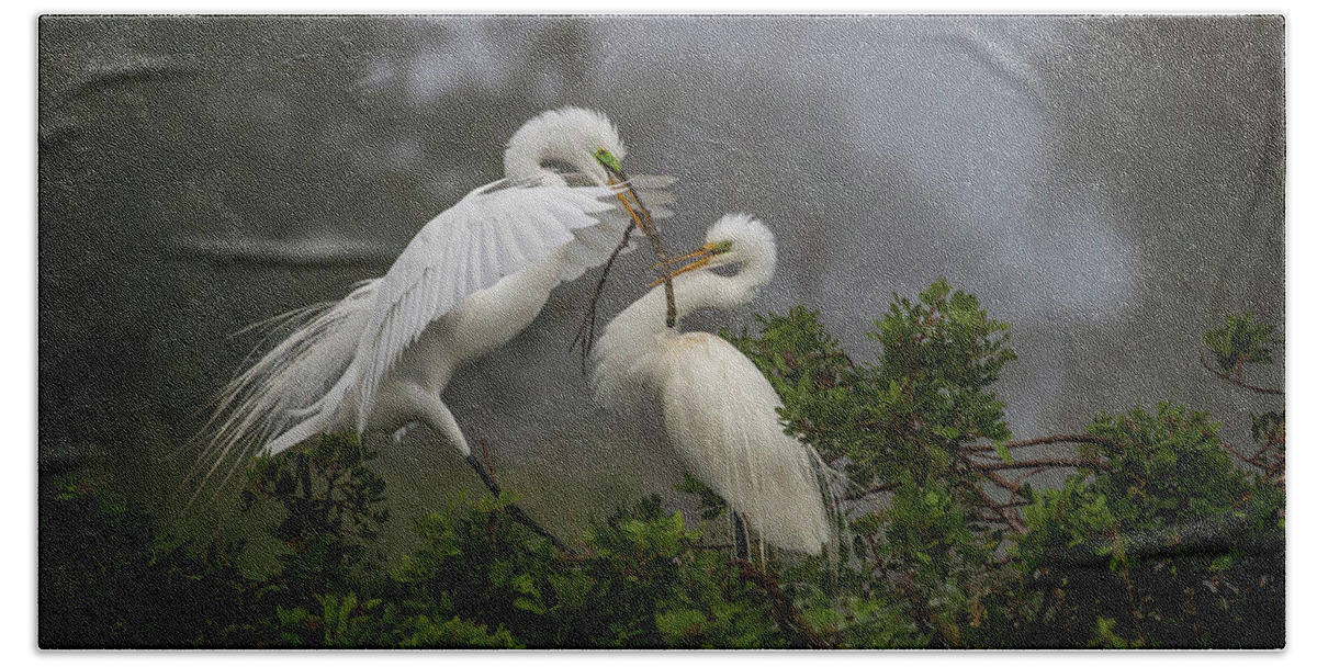 White Egrets Beach Sheet featuring the photograph A Couple of Birds by Dorothy Cunningham