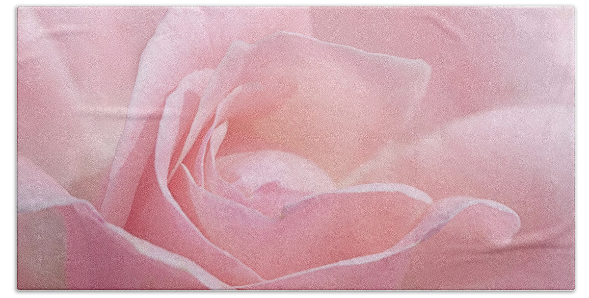 Rose Beach Sheet featuring the photograph A Delicate Pink Rose by Susan Rissi Tregoning