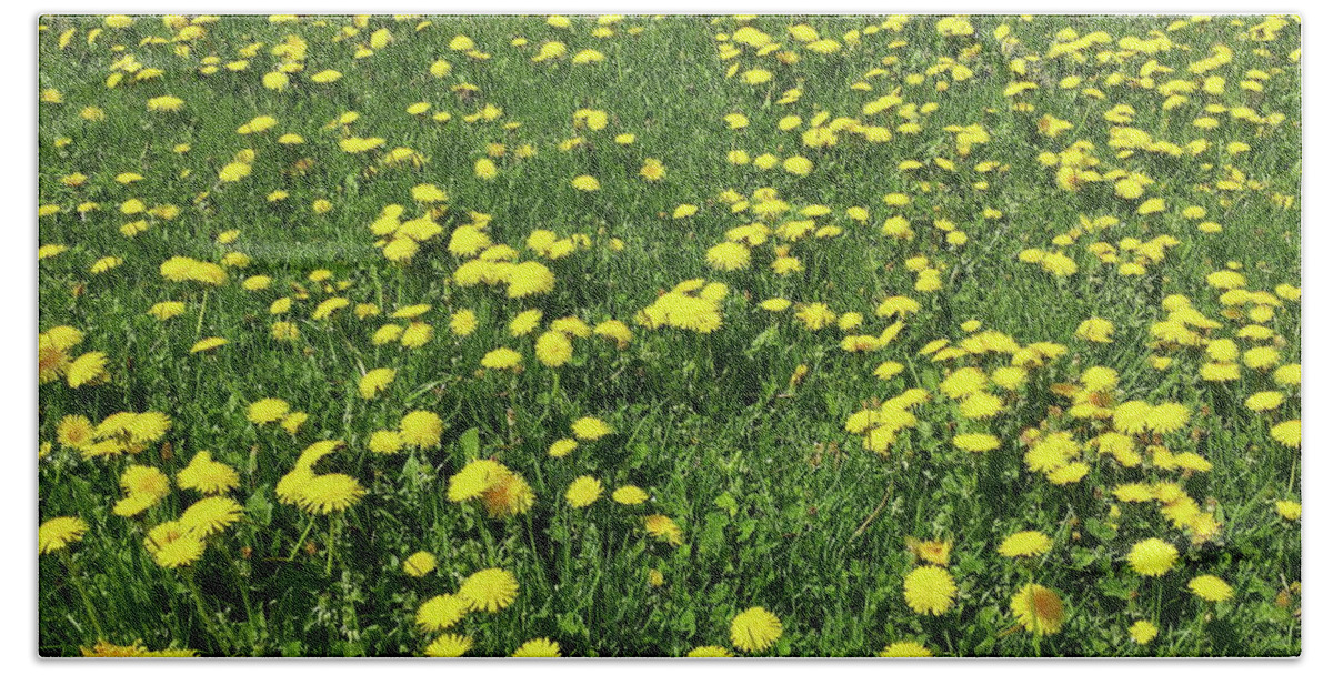 Flowers Beach Towel featuring the photograph A Field of Dandelions by Boyd Carter