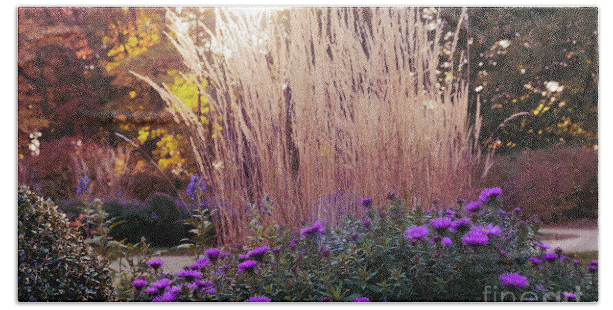 A Flower Bed In The Autumn Park By Marina Usmanskaya Beach Sheet featuring the photograph A flower bed in the autumn park by Marina Usmanskaya