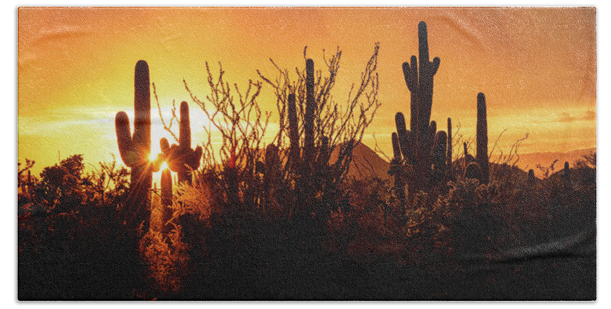 Sunset Beach Towel featuring the photograph A Golden Winter Sunset In The Sonoran by Saija Lehtonen