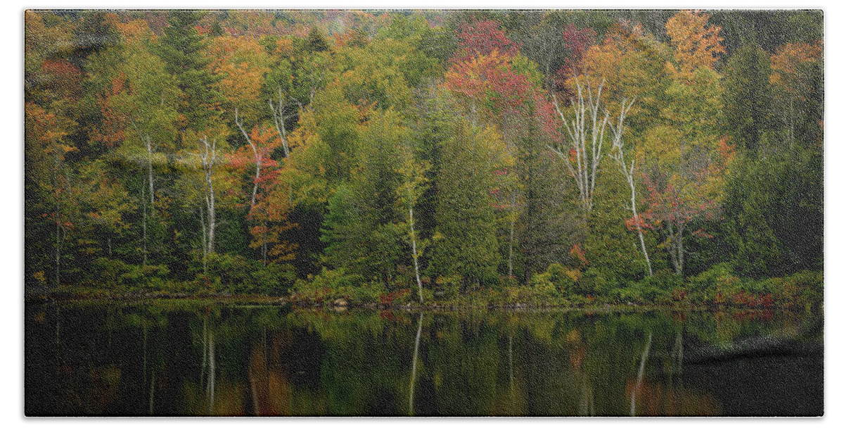 Adirondacks Beach Towel featuring the photograph A New York Fall by Guy Coniglio