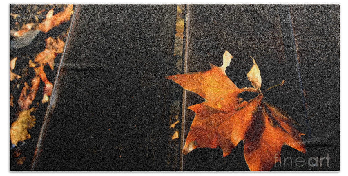 Autumn Beach Towel featuring the photograph A Park Bench in Autumn by Steve Ember
