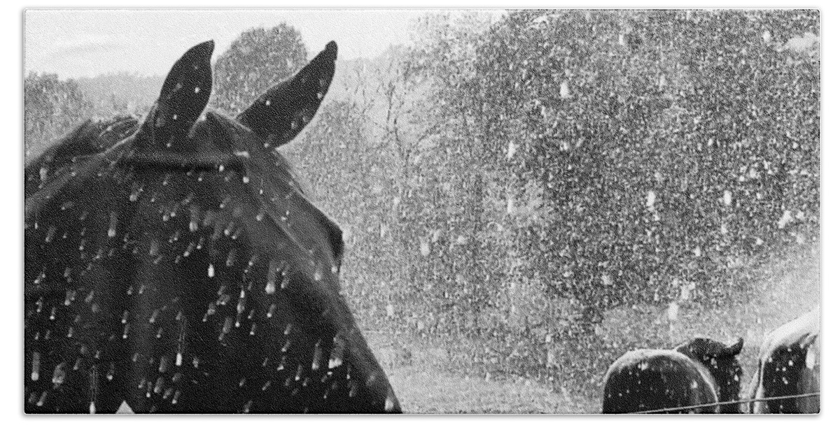 Horses Beach Towel featuring the photograph A Rainy Summer Day by Rabiah Seminole