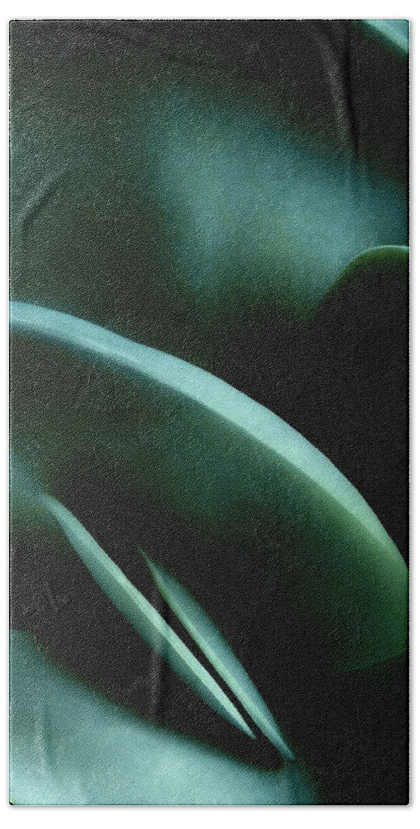 Plant Beach Towel featuring the photograph Abstract In Green by Mark Fuller