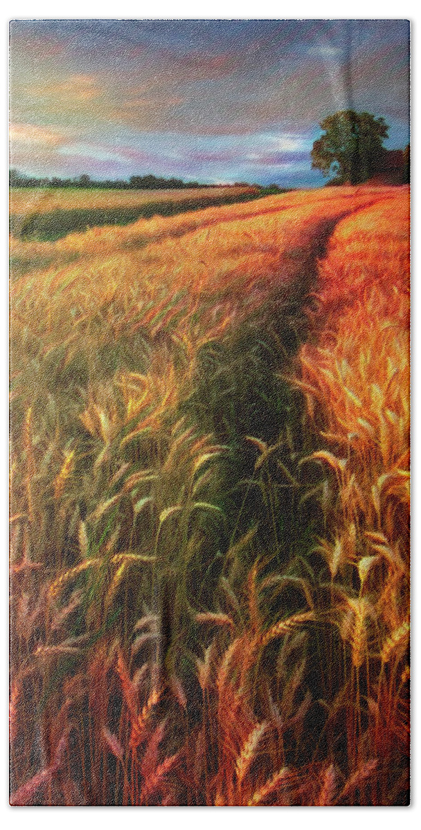 Barn Beach Towel featuring the photograph Amber Waves of Grain Watercolors Painting by Debra and Dave Vanderlaan