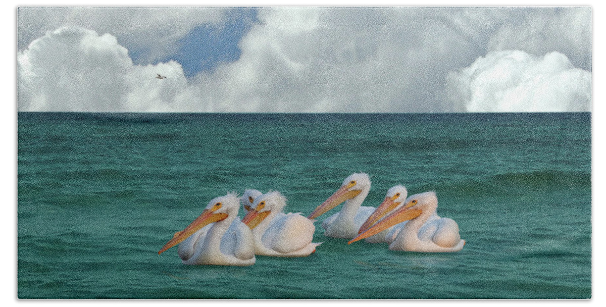 Birds Beach Towel featuring the digital art American White Pelicans of Florida by M Spadecaller