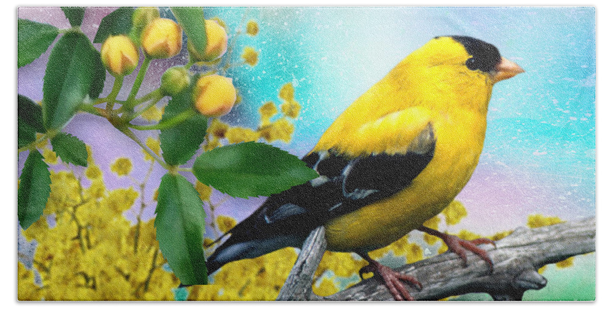American Yellow Finch Beach Towel featuring the mixed media American Yellow Finch by Morag Bates