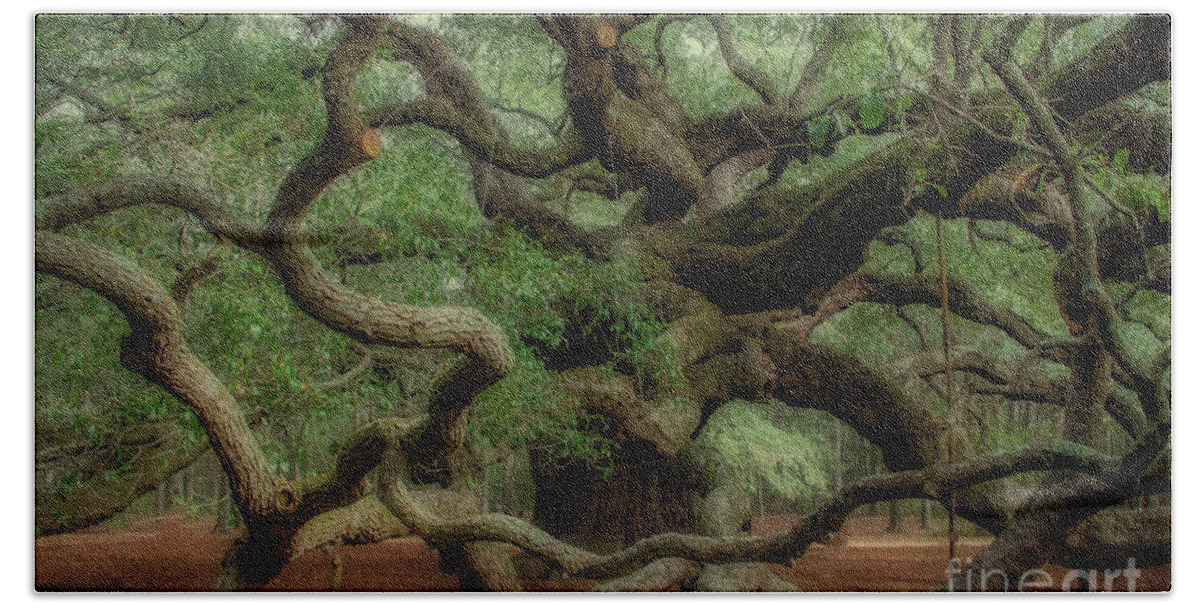 Angel Oak Tree Beach Towel featuring the photograph Angel Time Curls by Dale Powell