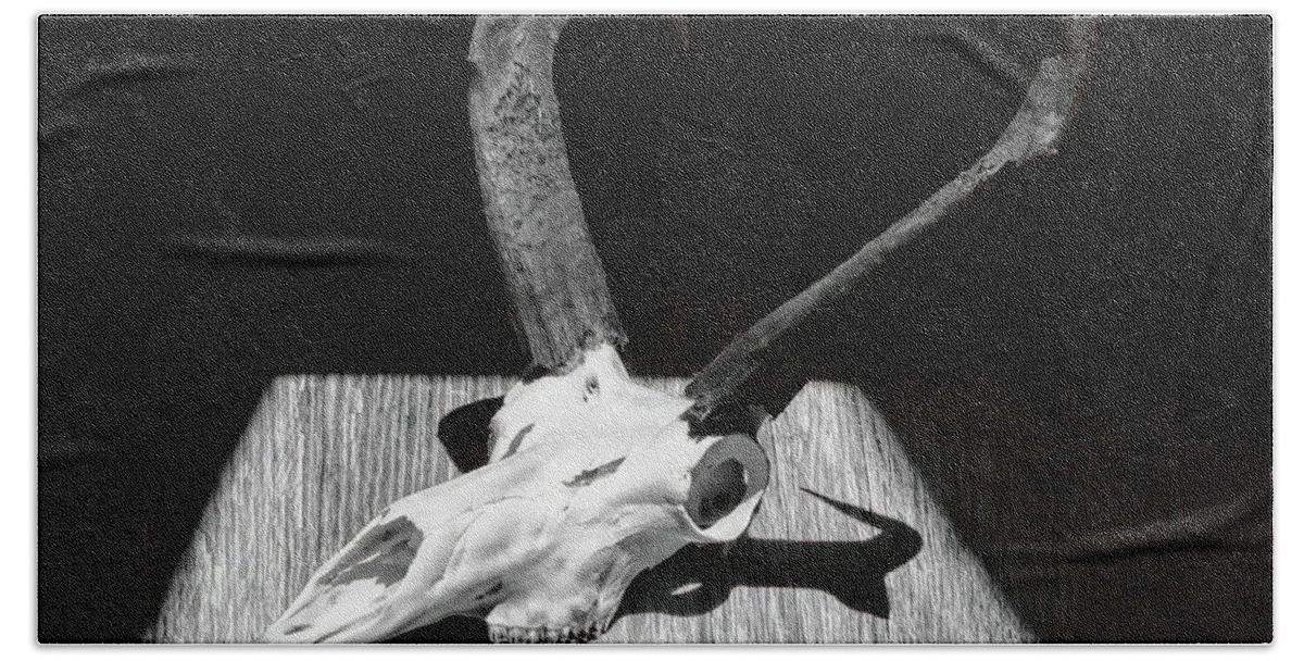 Kansas Beach Towel featuring the photograph Antelope 003 by Rob Graham
