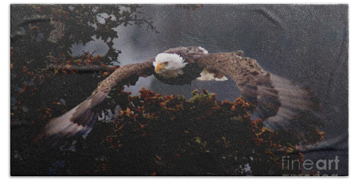 Haliaeetus Leucocphalus Beach Sheet featuring the photograph Approaching Eagle-signed-4476 by J L Woody Wooden