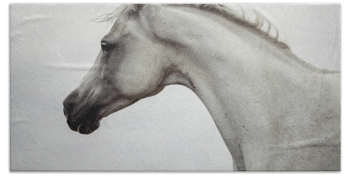 Horse Beach Towel featuring the photograph Arabian Horse Portrait by Dimitar Hristov