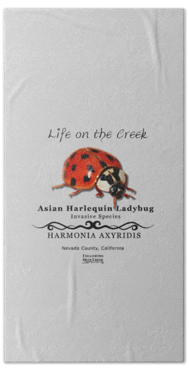Ladybug Beach Towel featuring the digital art Asian Harlequin Ladybug by Lisa Redfern