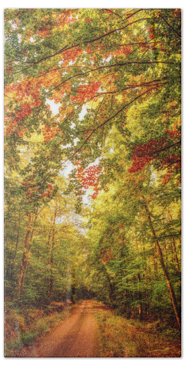 Autumn Beach Towel featuring the photograph Autumn Colorful Path by Philippe Sainte-Laudy