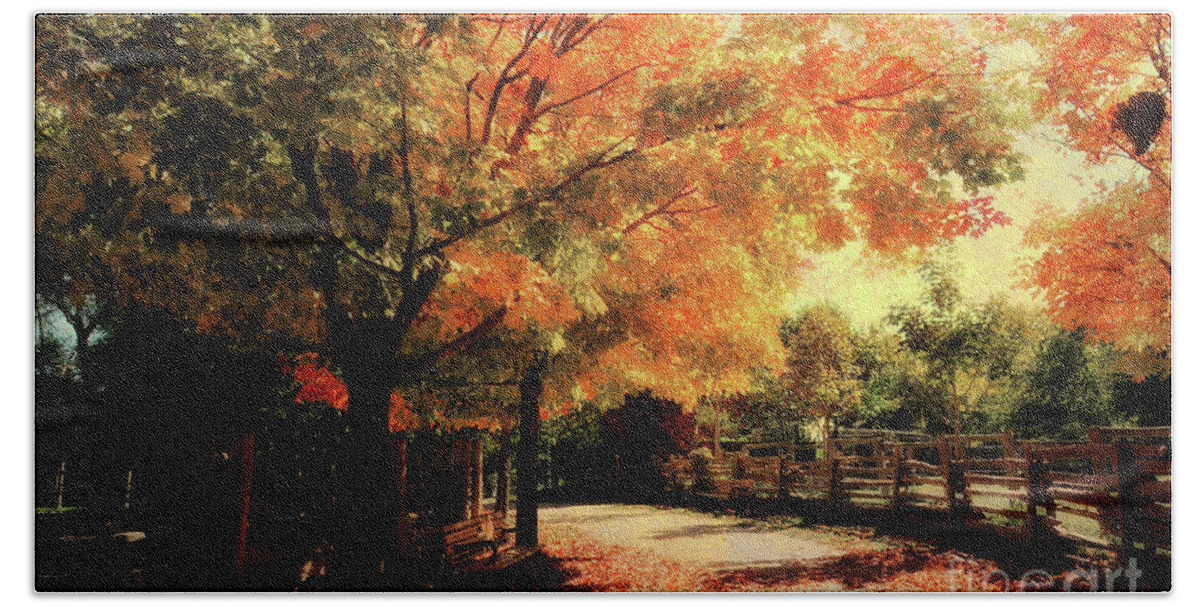 Seaon Beach Towel featuring the photograph Autumn Country Walk by Elaine Manley