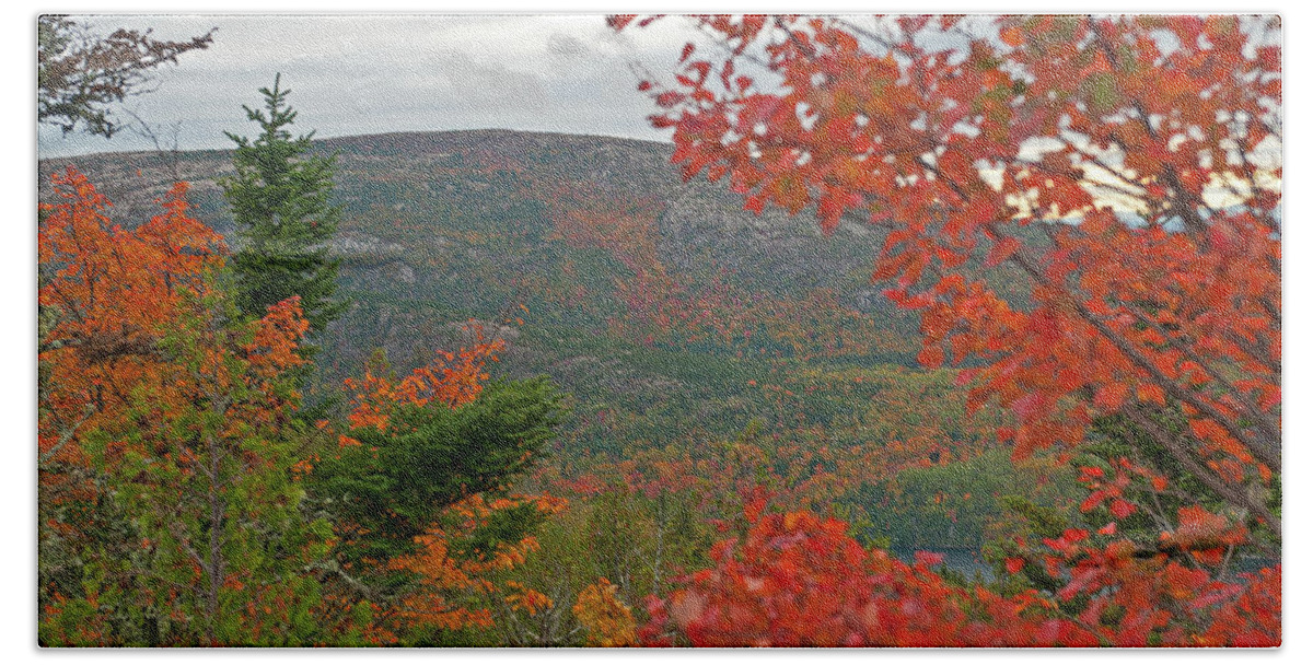 Acadia National Park Beach Towel featuring the photograph Autumn in Acadia by Paul Mangold