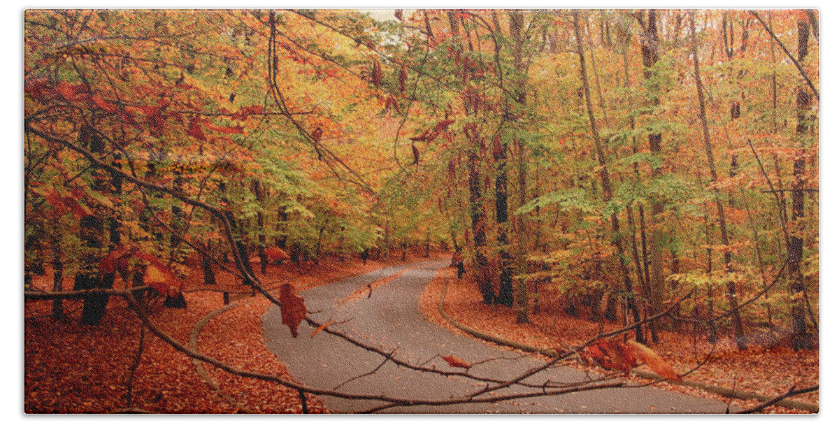 Autumn Beach Sheet featuring the photograph Autumn In Holmdel Park by Angie Tirado