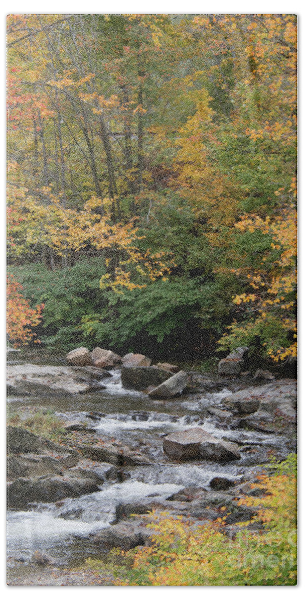 Autumn Beach Towel featuring the photograph Autumn in Vermont by John Greco