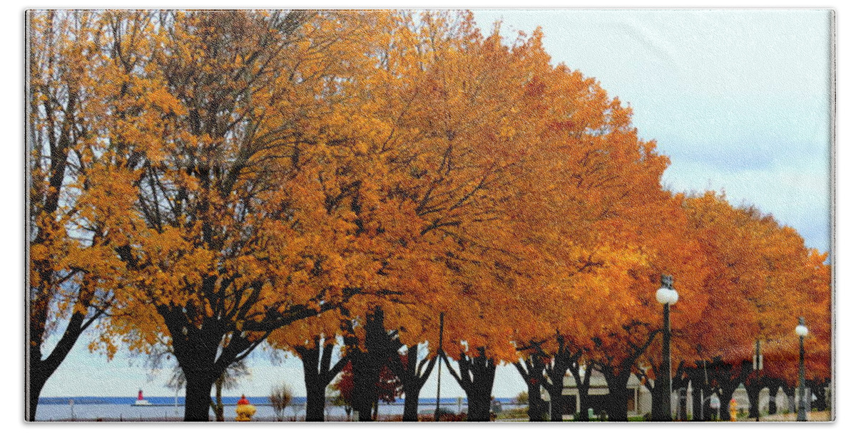 Autumn Beach Sheet featuring the photograph Autumn leaves in Menominee Michigan by Ms Judi