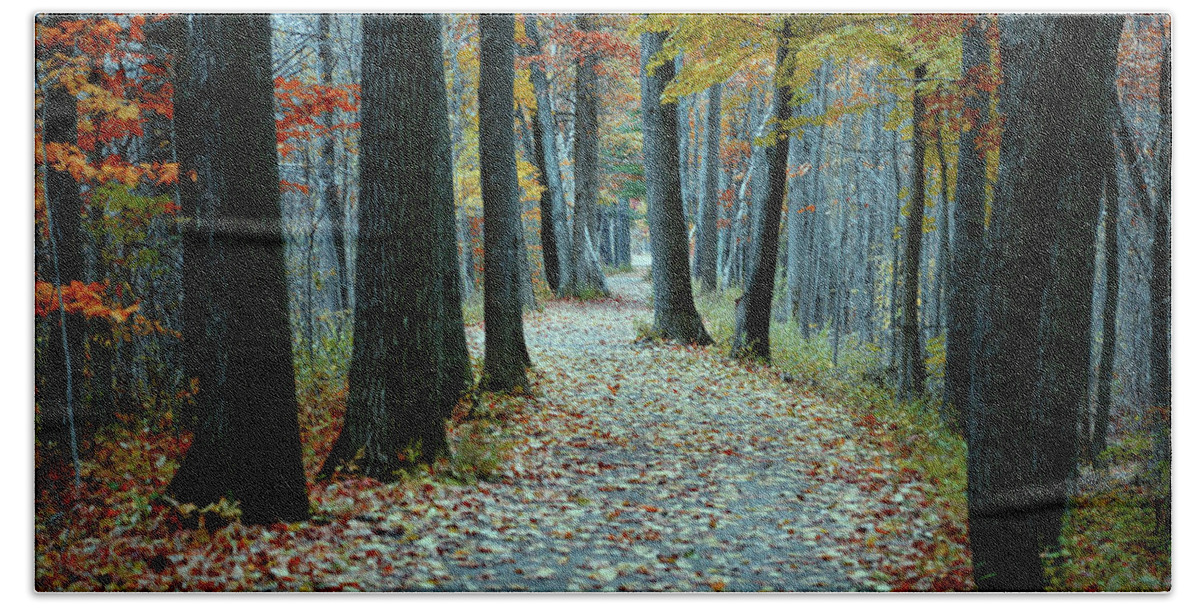 Path Beach Towel featuring the photograph Autumn Way by John Meader