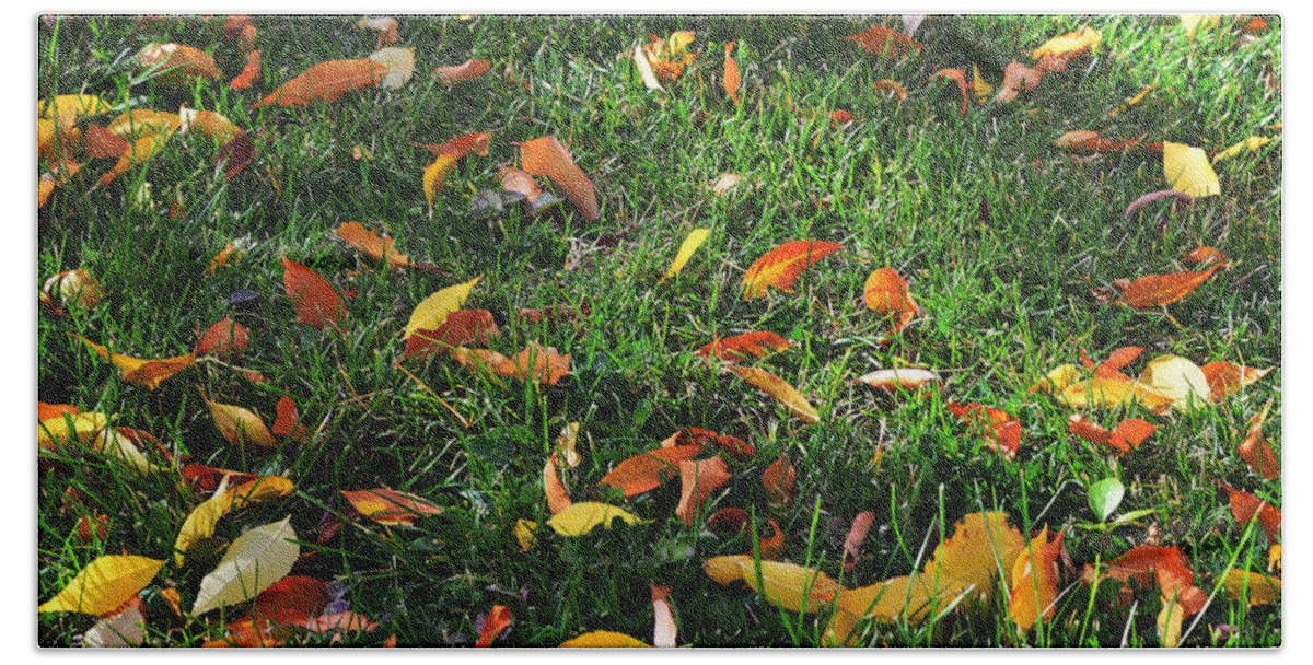 Grass Beach Towel featuring the photograph Autumn's Confetti by Kae Cheatham