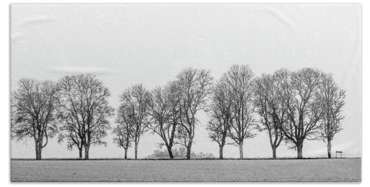 Avenue Of Maple Trees Beach Towel featuring the photograph Avenue of maple trees in fog a side view in black and white by Torbjorn Swenelius