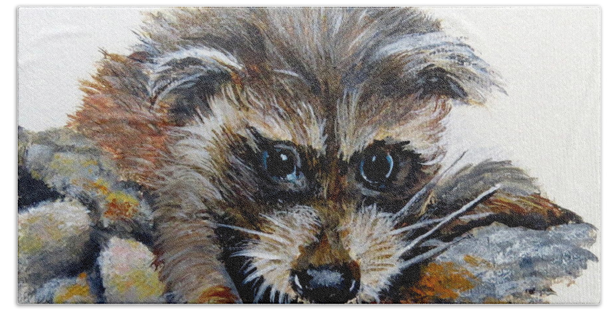 Raccoon Beach Towel featuring the painting Baby Raccoon by Marilyn McNish