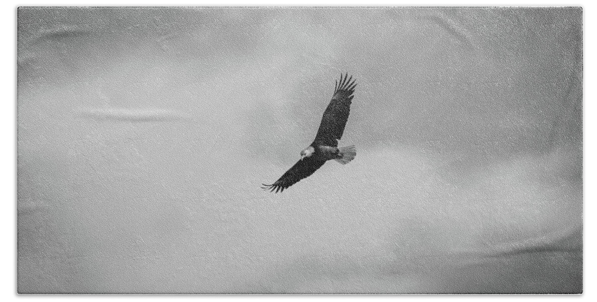 Bald Eagle Beach Towel featuring the photograph Bald Eagle Soaring by Jeff Phillippi