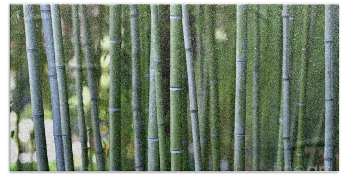 Bamboo Beach Towel featuring the photograph Bamboo grove by George Atsametakis